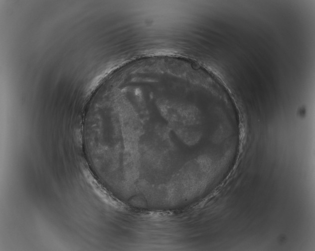 X0000116850345201001051511