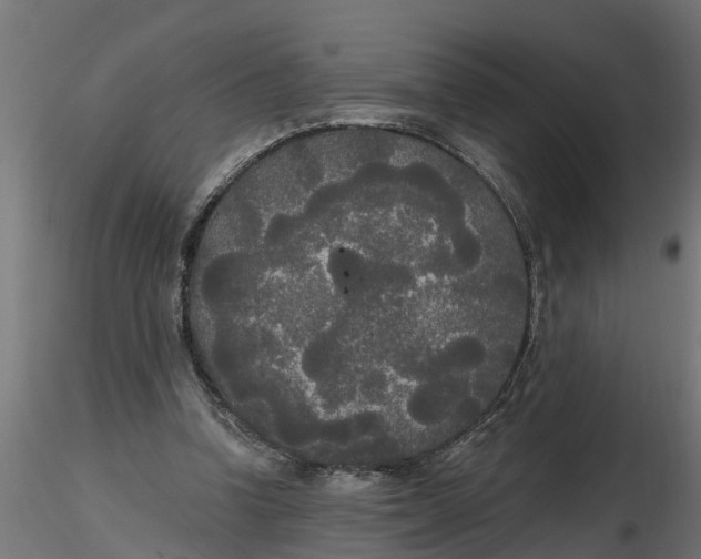 X0000116850346201001051511