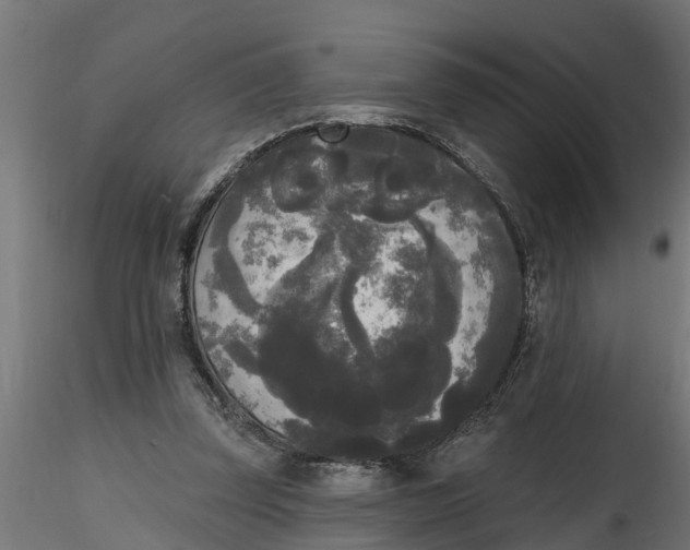 X0000116850347201001051511