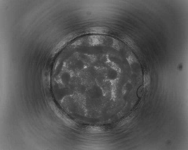 X0000116850349201001051511