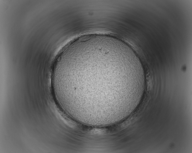 X0000116850350201001051511