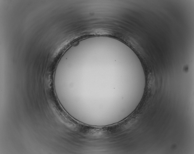 X0000116850351201001051511