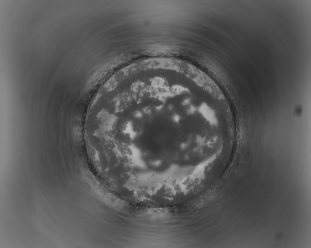 X0000116850353201001051511