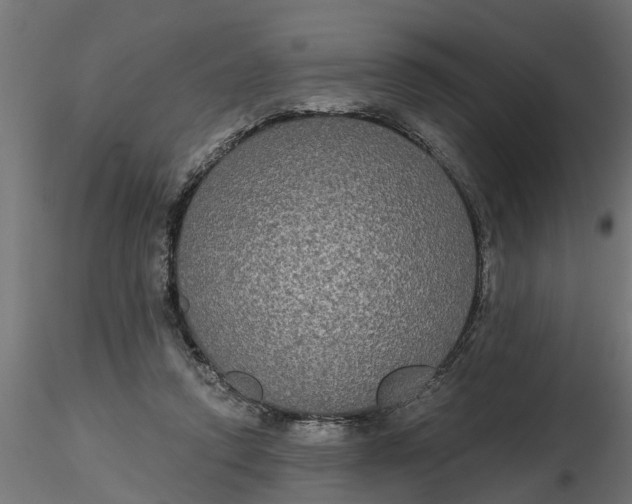 X0000116850354201001051511