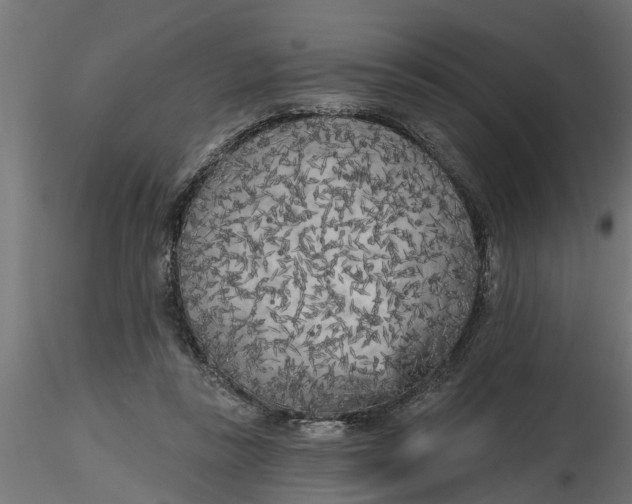 X0000116850355201001051511