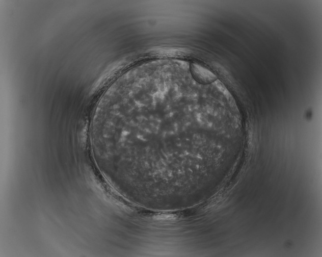 X0000116850357201001051511