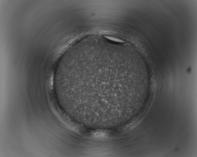 X0000116850358201001051511