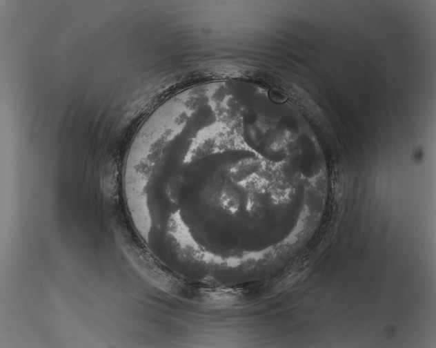 X0000116850359201001051511