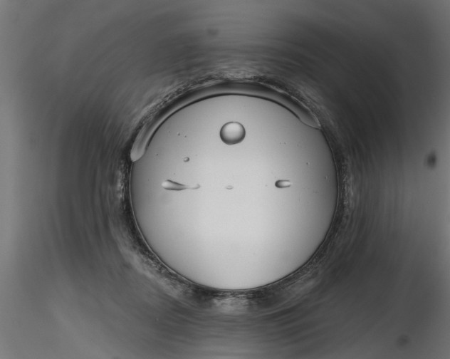 X0000116850362201001051511