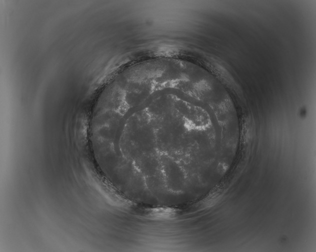 X0000116850363201001051511