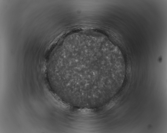 X0000116850367201001051511