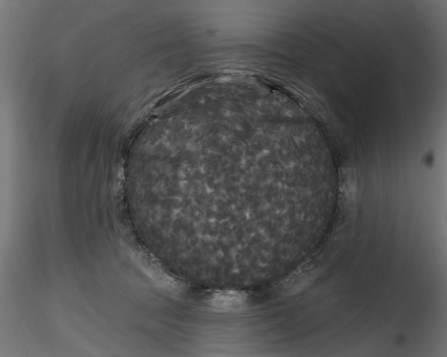 X0000116850369201001051511