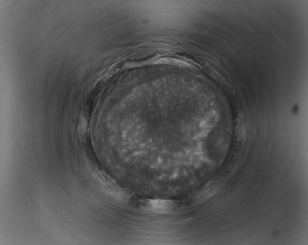 X0000116850371201001051511