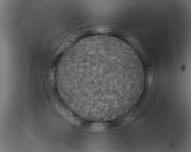 X0000116850373201001051511