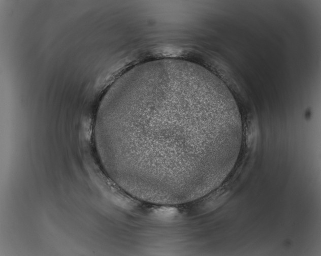 X0000116850374201001051511