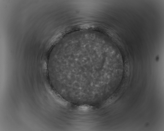 X0000116850375201001051511