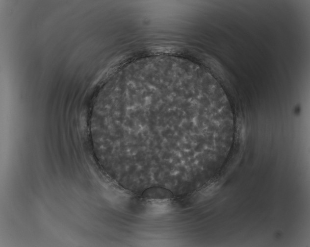 X0000116850377201001051511