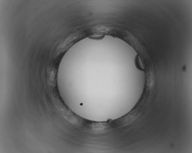 X0000116850378201001051511