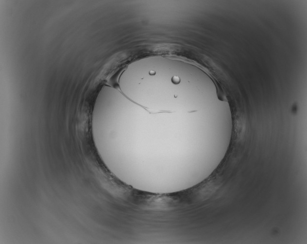 X0000116850379201001051511