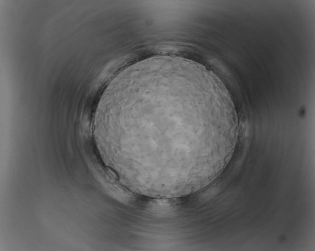 X0000116850381201001051511