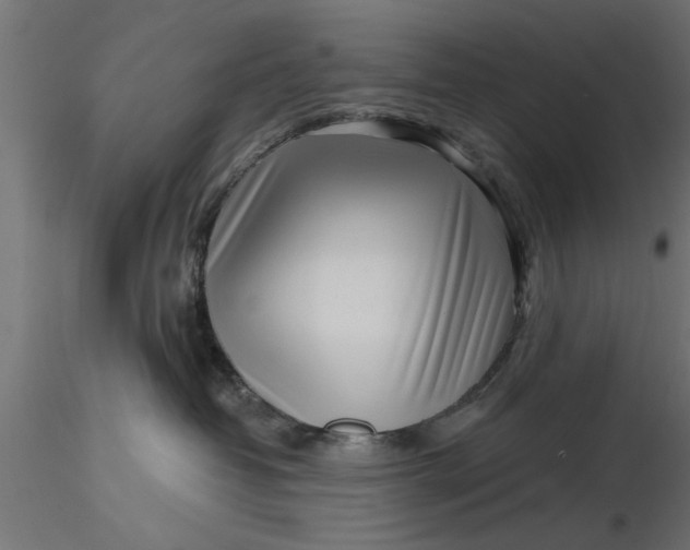 X0000116850382201001051511