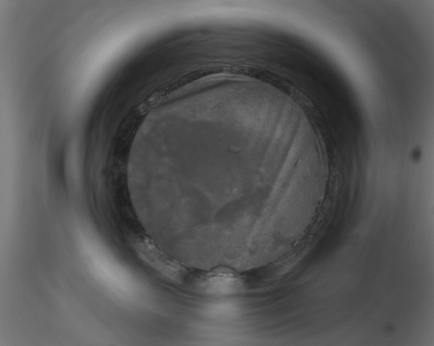 X0000116850383201001051511