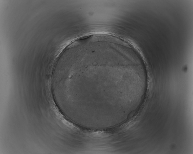 X0000116850385201001051510