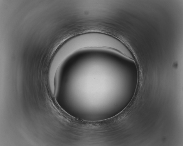 X0000116850386201001051510