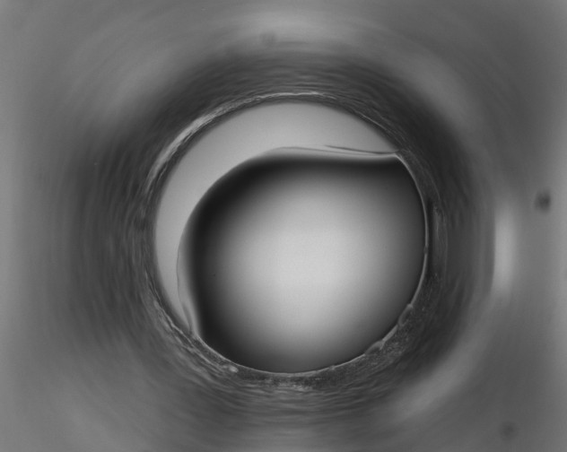 X0000116850387201001051510