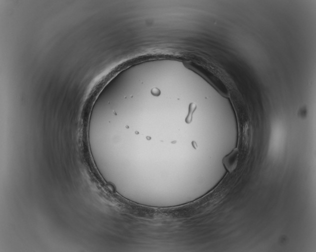 X0000116850388201001051510