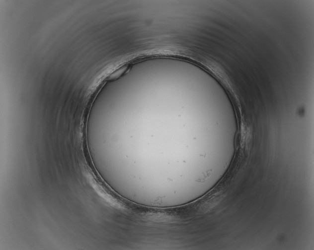 X0000116850389201001051510