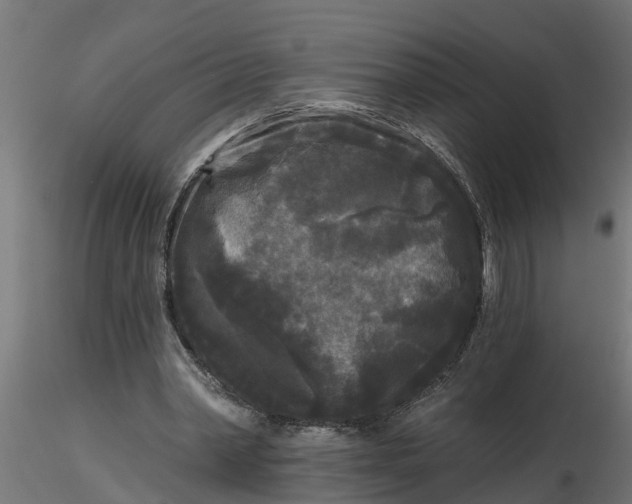 X0000116850390201001051510