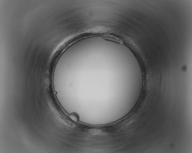 X0000116850392201001051510