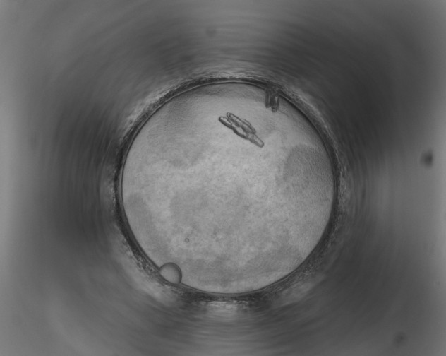 X0000116850394201001051510