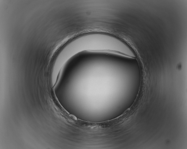 X0000116850395201001051510