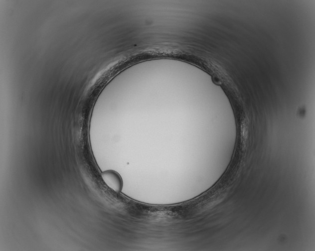 X0000116850396201001051510