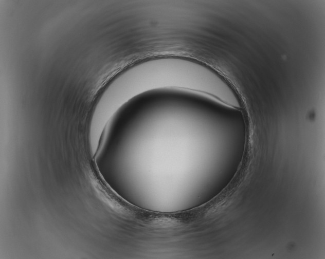 X0000116850397201001051510