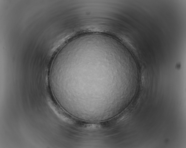 X0000116850398201001051510