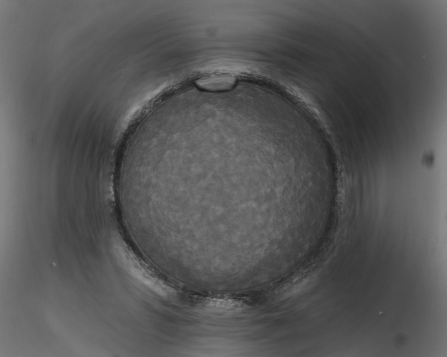 X0000116850399201001051510