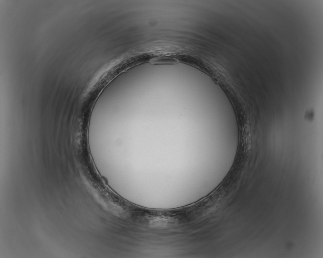 X0000116850400201001051510