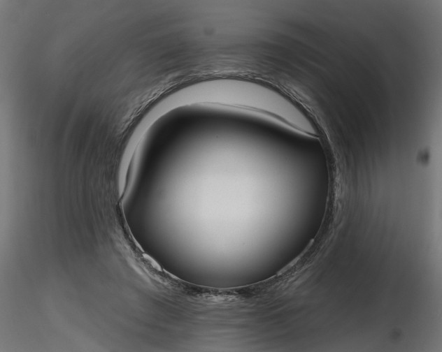 X0000116850401201001051510