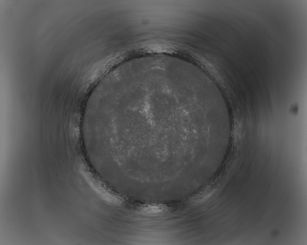 X0000116850402201001051510