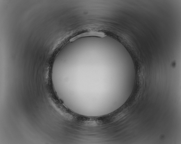 X0000116850404201001051510