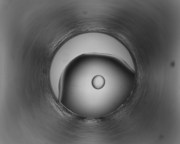 X0000116850405201001051510