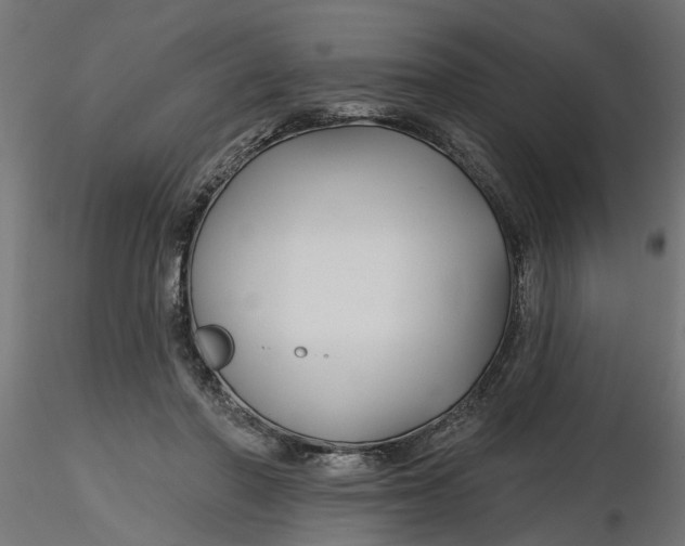 X0000116850406201001051510