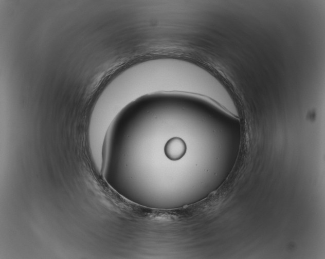 X0000116850407201001051510