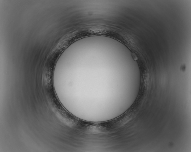 X0000116850408201001051510