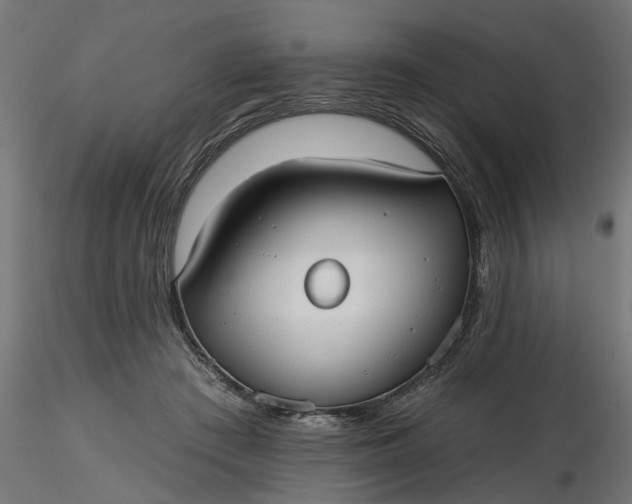 X0000116850409201001051510