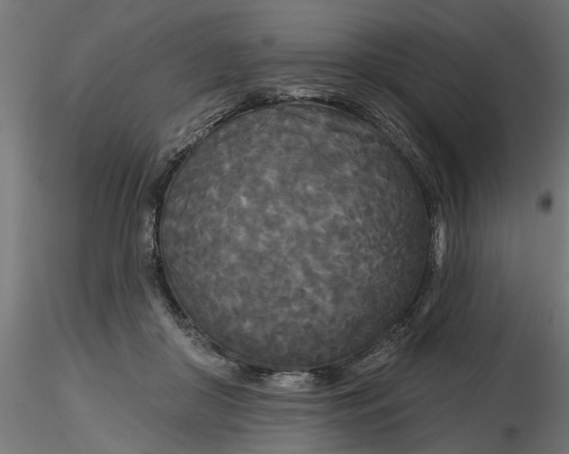 X0000116850410201001051510