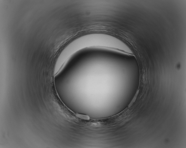 X0000116850411201001051510